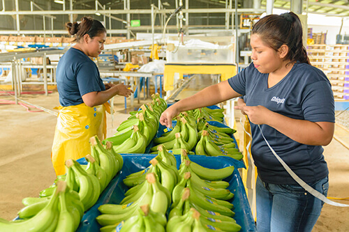 Chiquita affronta la sfida dell’empowerment femminile