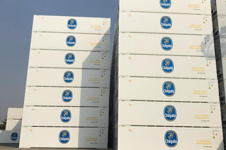 I contenitori di raffreddamento intelligenti migliorano la sostenibilità e garantiscono la migliore qualità delle banane sugli scaffali