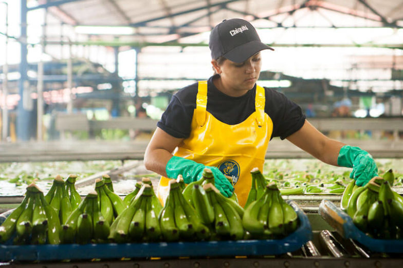 La gestione dell’impronta idrica nelle piantagioni Chiquita consente di risparmiare 1,8 miliardi di litri d’acqua all’anno - 1