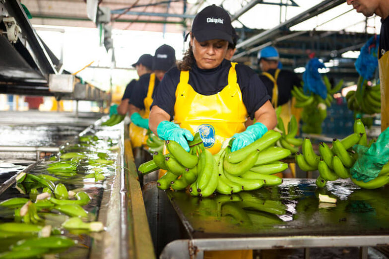 La gestione dell’impronta idrica nelle piantagioni Chiquita consente di risparmiare 1,8 miliardi di litri d’acqua all’anno - 3