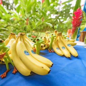 Chiquita si impegna a proteggere la riserva di Nogal per altri 10 anni in onore del suo 20° anniversario